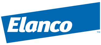 تست